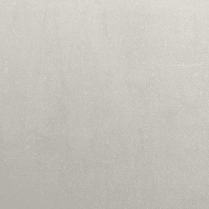 Rasenkanten 10 Stk. 10x103 cm Edelstahl