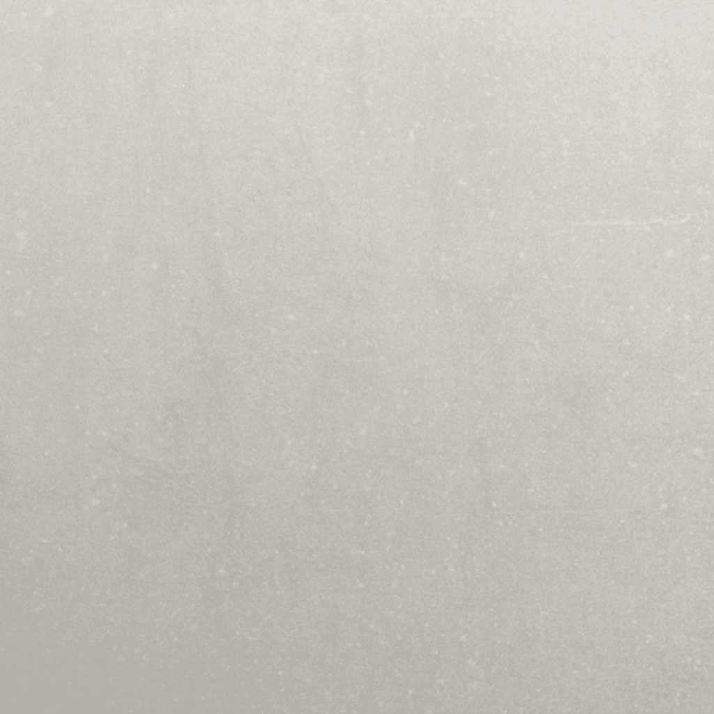 vidaXL Rasenkanten 50 Stk. 10x103 cm Edelstahl