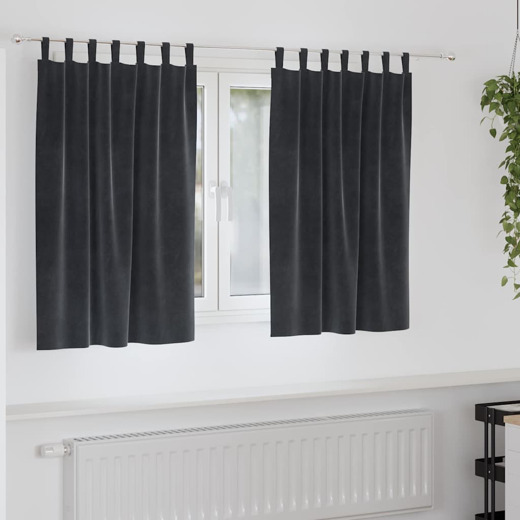 vidaXL Rideaux occultants 2 pcs Gris foncé 140 x 140 cm Velours