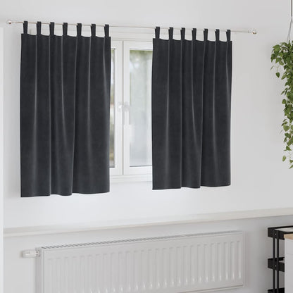 vidaXL Rideaux occultants 2 pcs Gris foncé 140 x 140 cm Velours