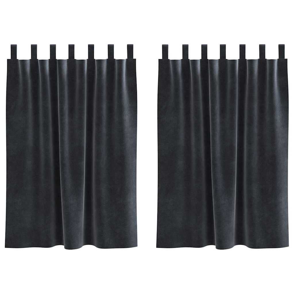 vidaXL Rideaux occultants 2 pcs Gris foncé 140 x 140 cm Velours