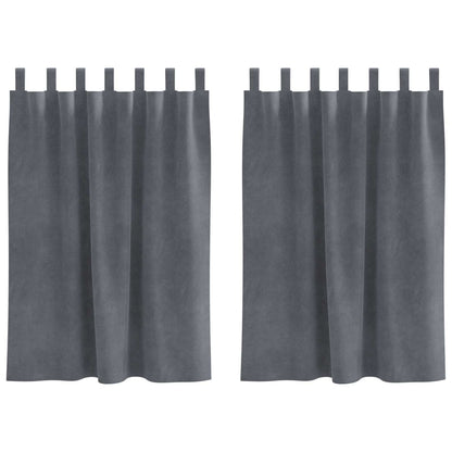 Verdunkelungsvorhänge 2 pcs Hellgrau 140 x 140 cm Samt