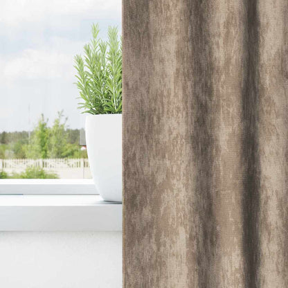 vidaXL Samtvorhänge mit Vorhängen 2 pcs Champagner 260 x 140 cm Samt