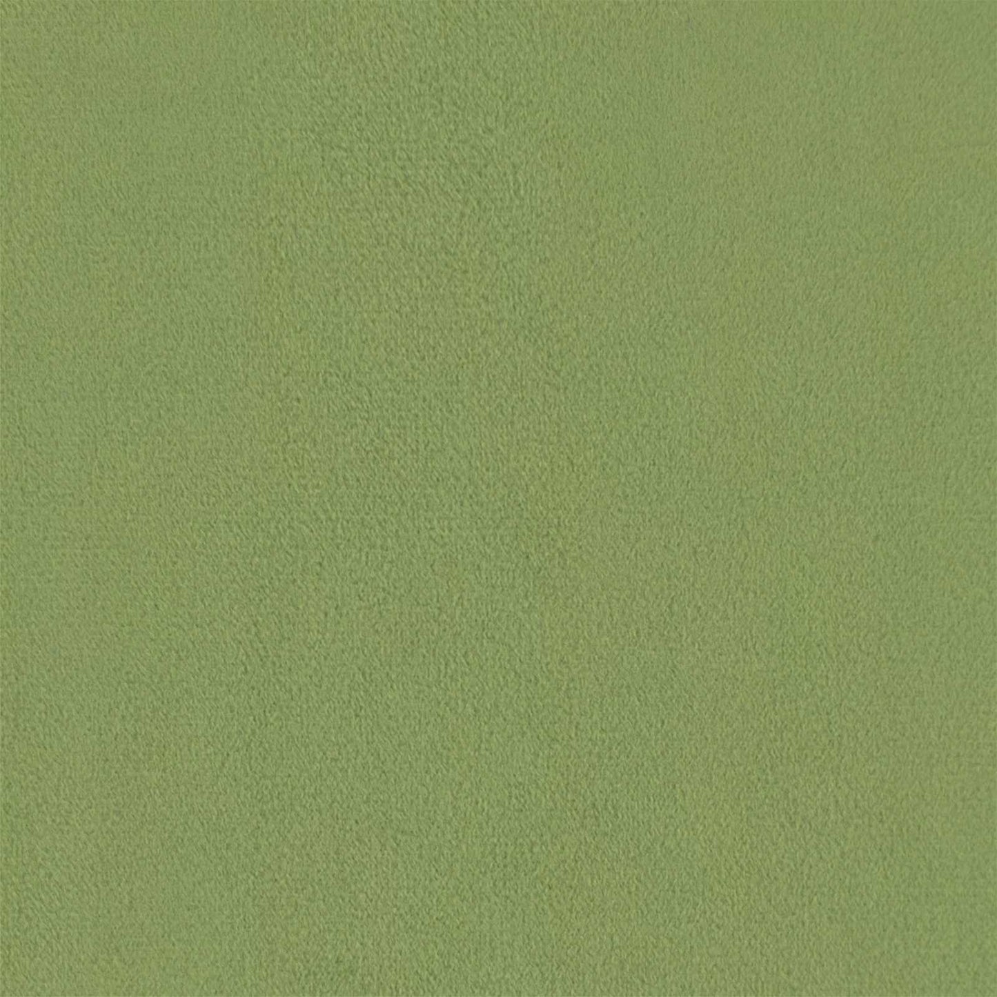 vidaXL Canapé-lit 60cm Vert clair Velours