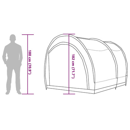 vidaXL Abri de vélo avec toit et espace de rangement Vert 256 x 222 x 182 cm