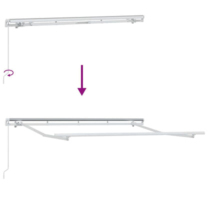 vidaXL Einziehbare Markise Anthrazit und Weiß 300 x 200 cm