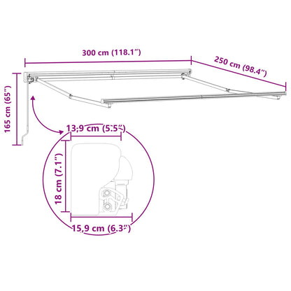 vidaXL Einziehbare Markise Grün und Weiß 300x250 cm Stoff
