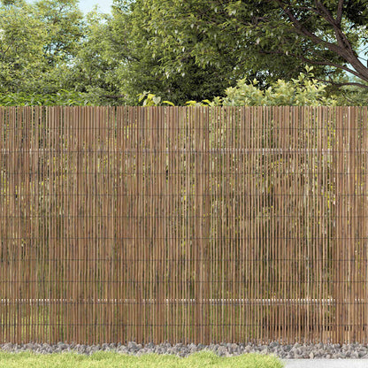 vidaXL Schilfrohrzaun Natur 300 x 180 cm Schilf
