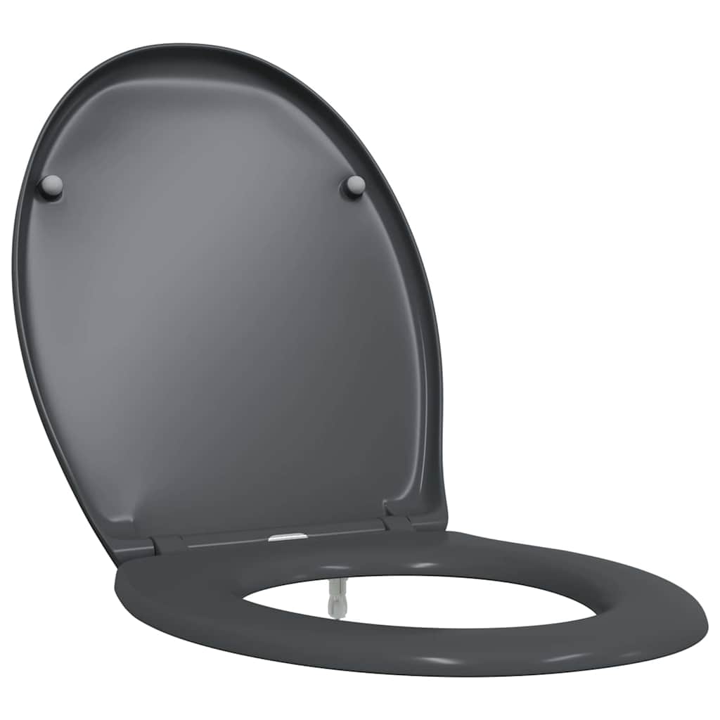Toilettensitz Anthrazit 47 x 37 x 4 cm Duroplast