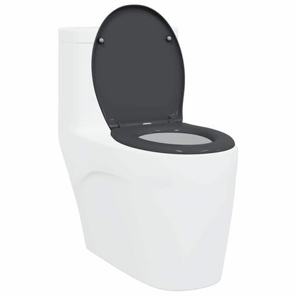 Toilettensitz Anthrazit 47 x 37 x 4 cm Duroplast