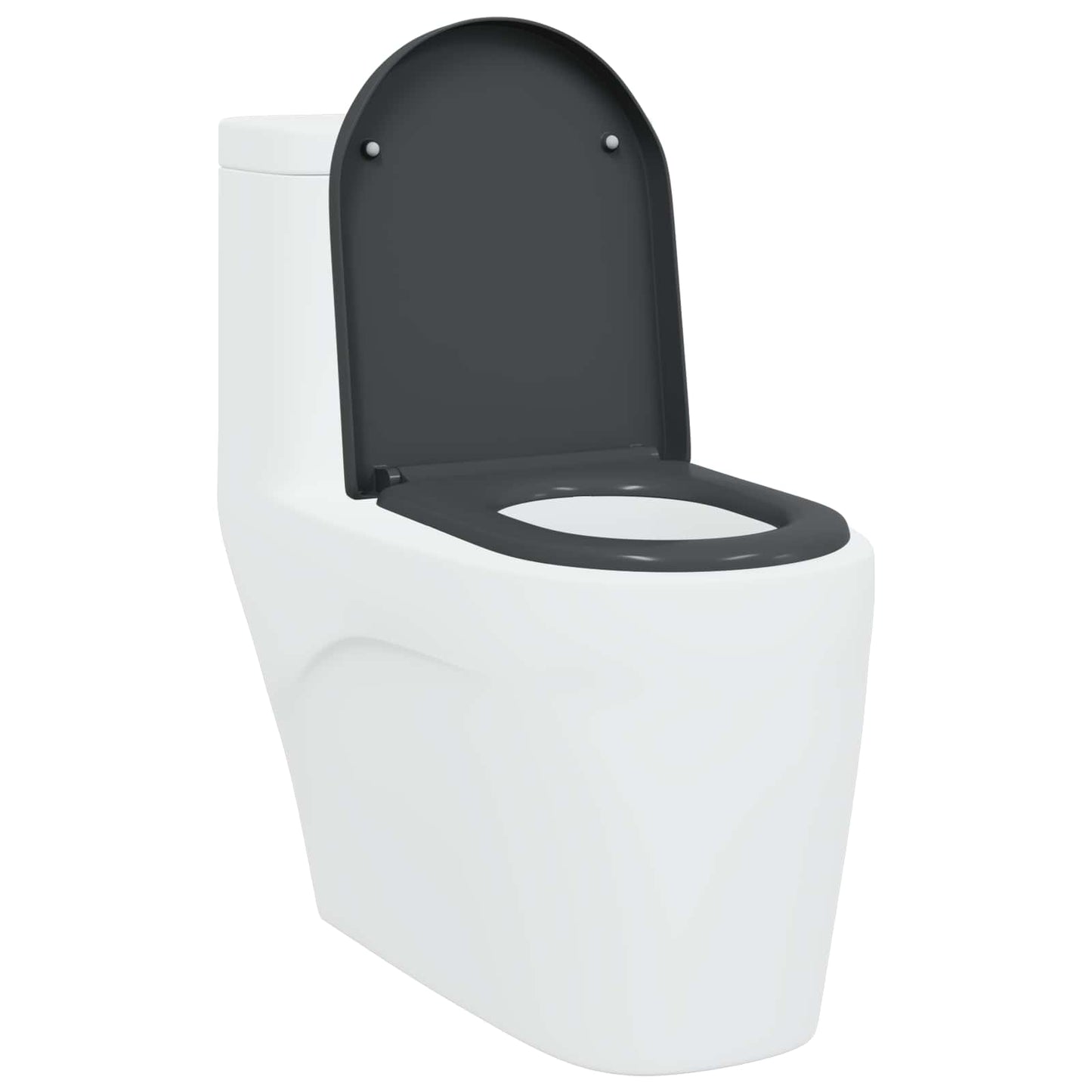 Toilettensitz Anthrazit 49 x 36 x 4 cm Duroplast