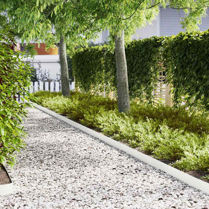 Raseneinfassung 50 pcs Weiß 100 x 0,05 x 20 cm