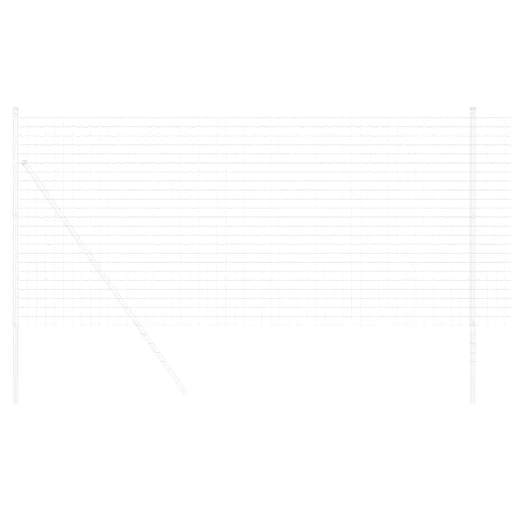 vidaXL Eurozaun 1 x 10 m PVC-beschichtetes Eisen