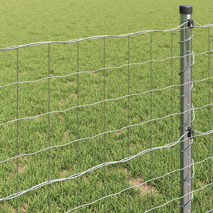 vidaXL Eurozaun 1,2 x 10 m PVC-beschichtetes Eisen