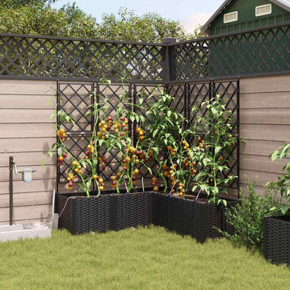 Garten-Pflanzgefäß 5 pcs Schwarz Stahl