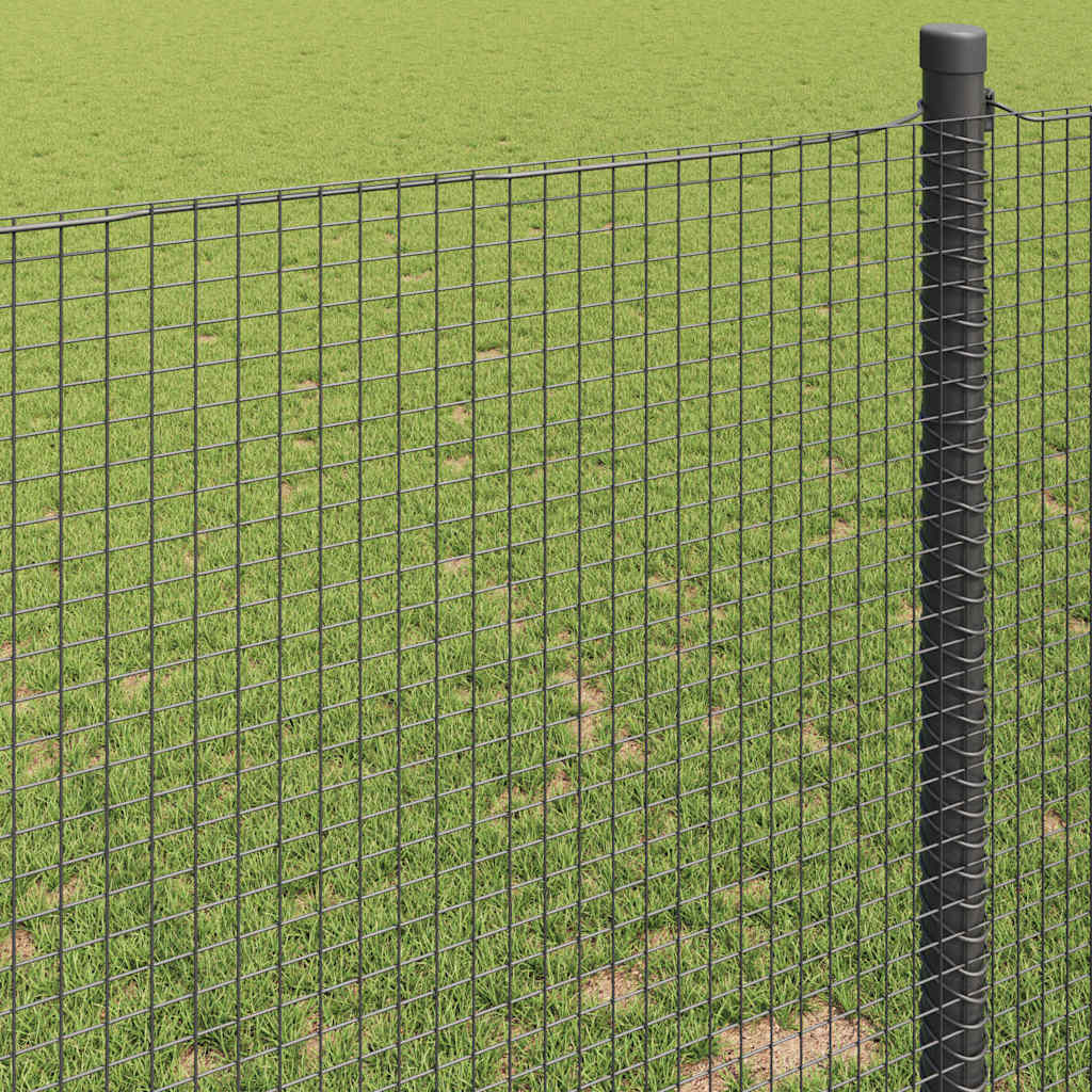 vidaXL Geschweißter Drahtzaun Grau 0,8 x 50 m