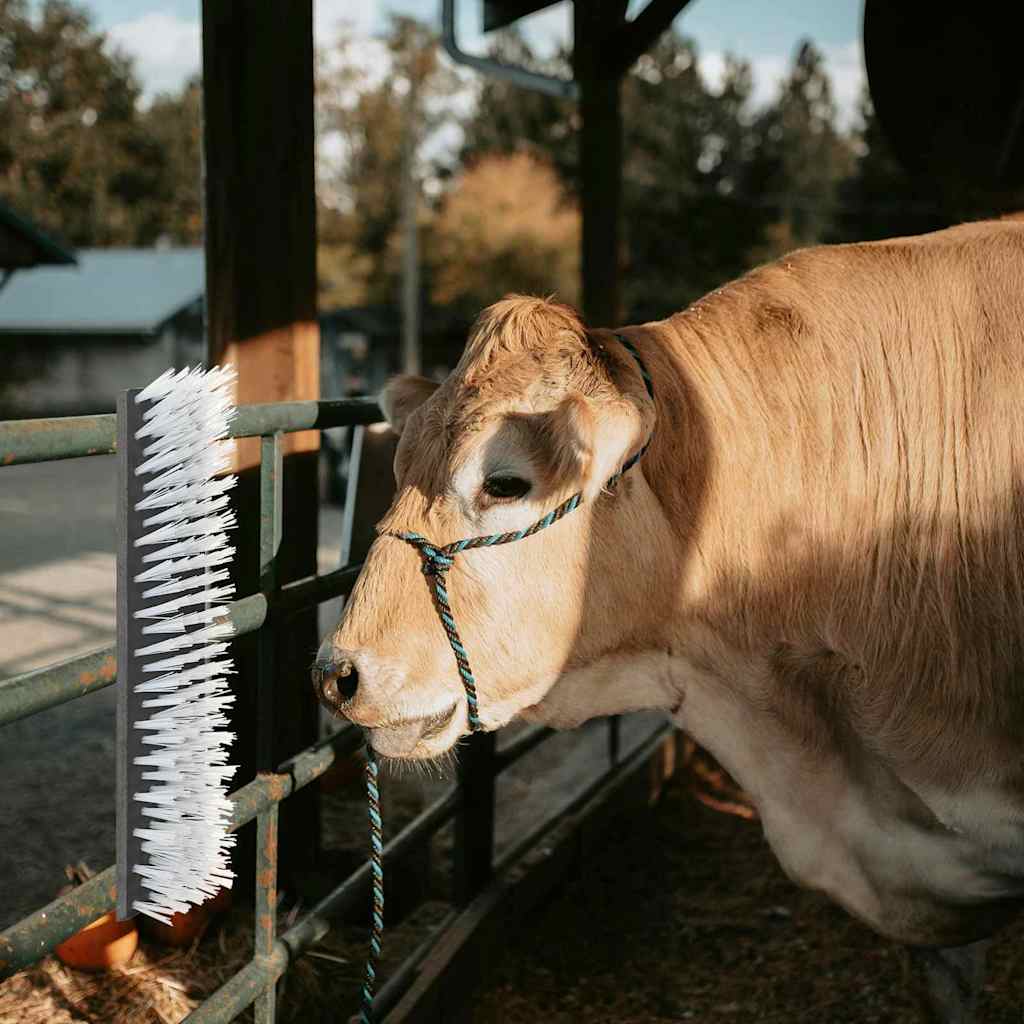 Kühbürste Schwarz und Weiß 50 x 10 x 6.5 cm