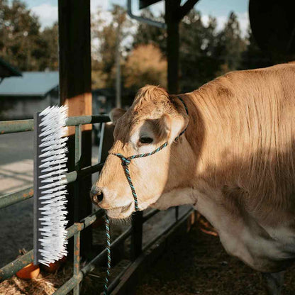 Kühbürste Schwarz und Weiß 50 x 10 x 6.5 cm