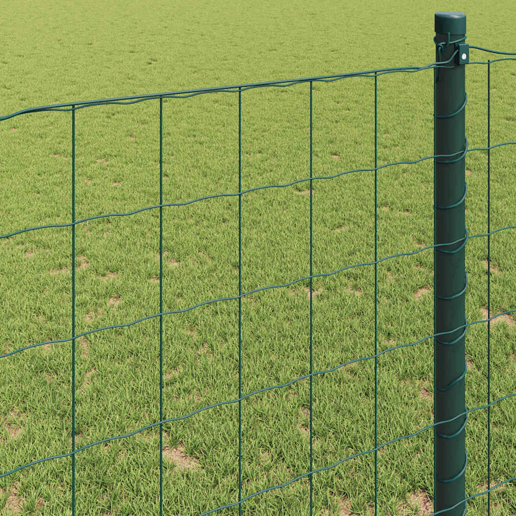 Eurozaun Grün 1 x 10 m PVC-beschichtetes Eisen