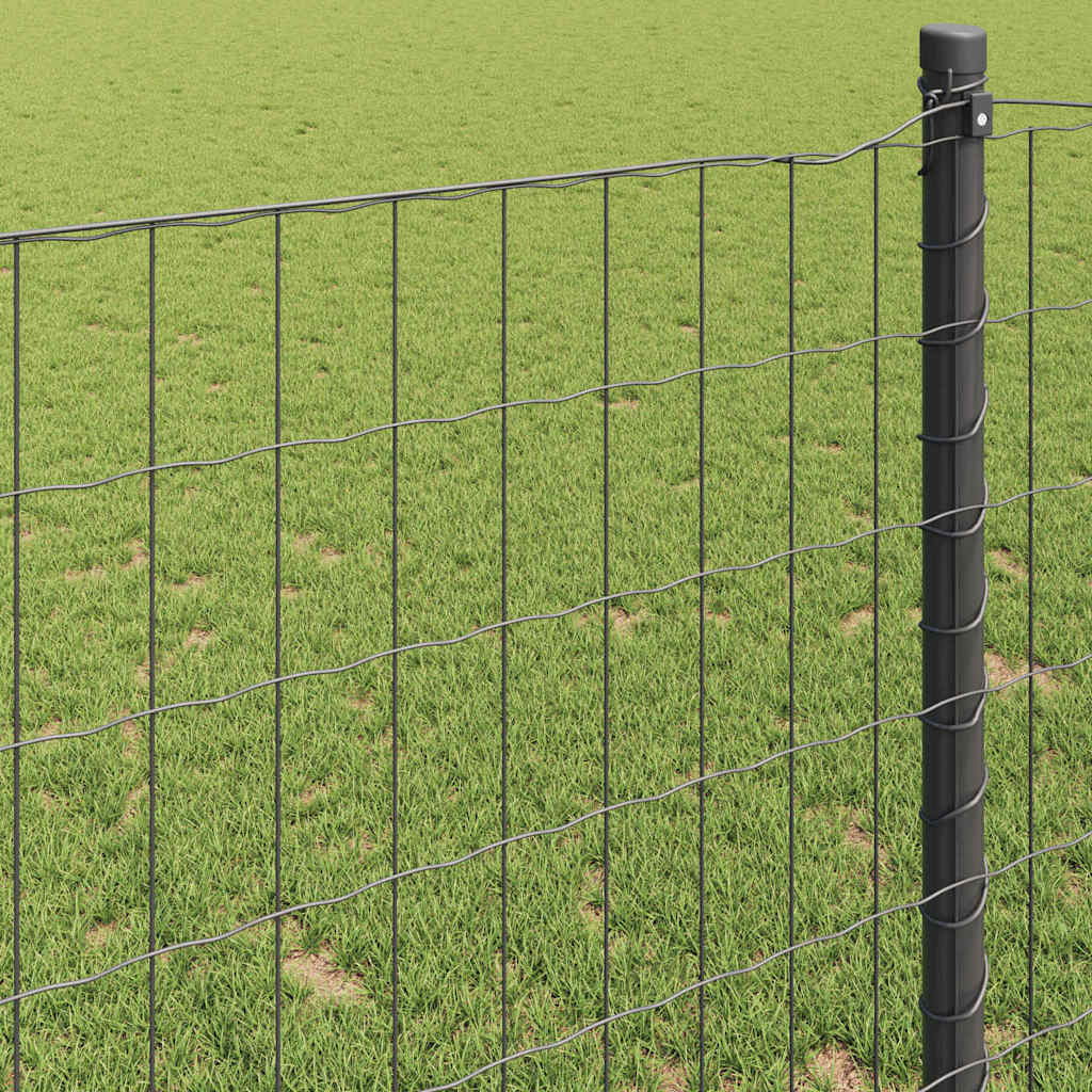 vidaXL Clôture européenne grise 0,8 x 10 m en fer revêtu de PVC