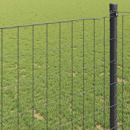 vidaXL Clôture européenne gris 1 x 10 m en fer enduit de PVC