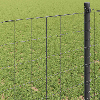 vidaXL Clôture Euro Grise 0,8 x 25 m Fer Revêtu de PVC