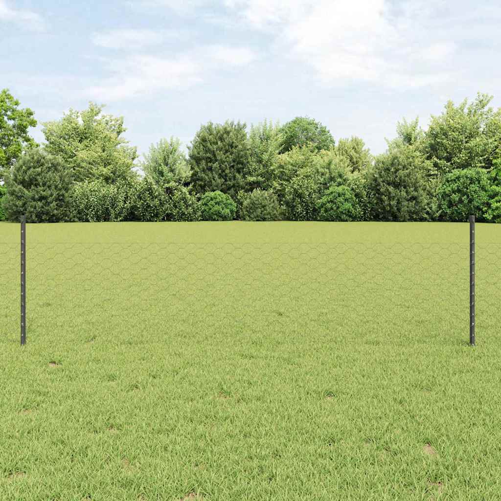 vidaXL Zaun mit Pfosten Grau 0,5 x 25 m Stahl