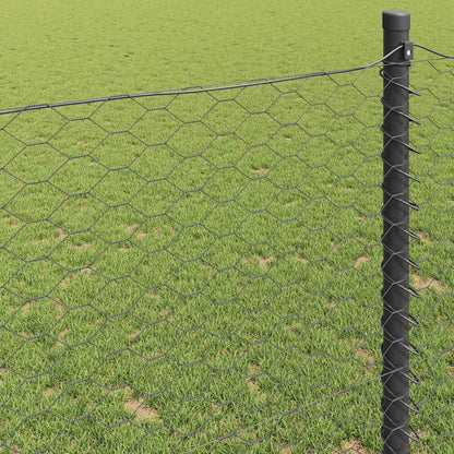 vidaXL Hexagonzaun Grau 0,8 x 50 m PVC