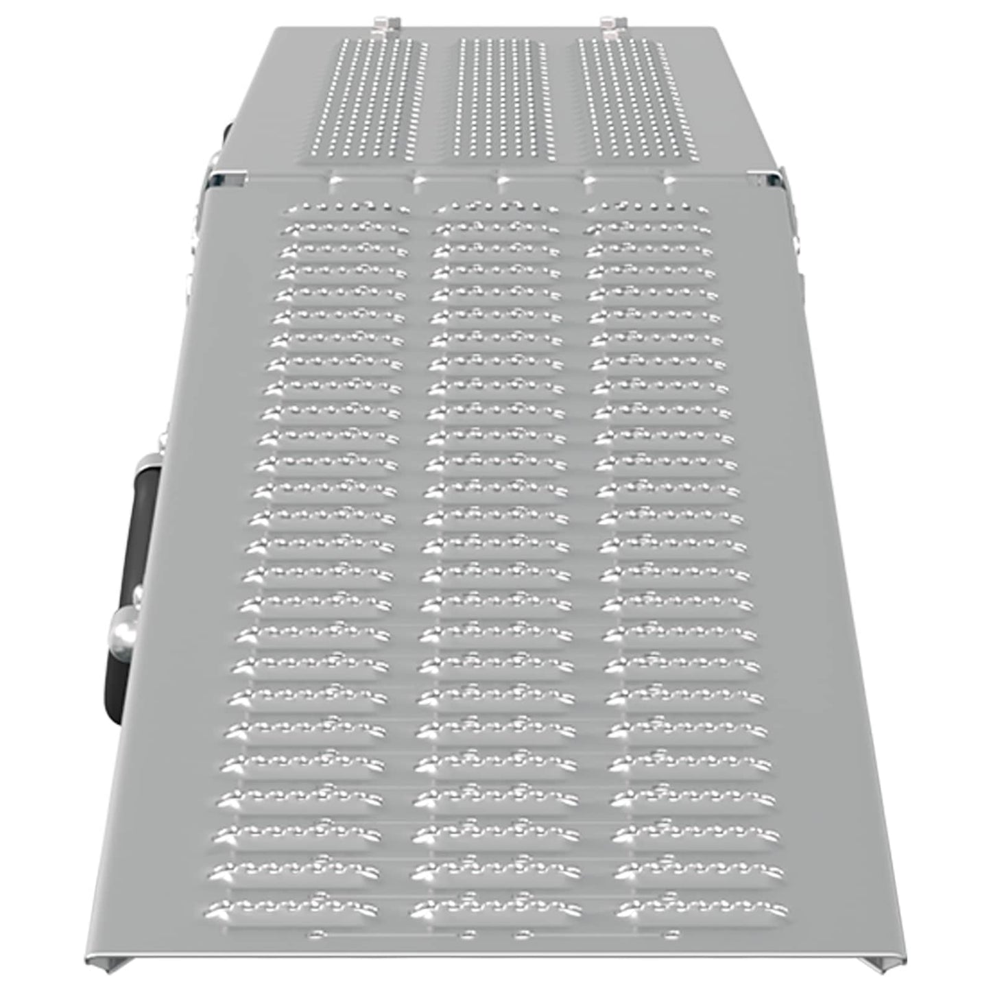 Faltbare Rampe 200kg pro Rampe 2 pcs Silber 166 x 23 x 4,5 cm