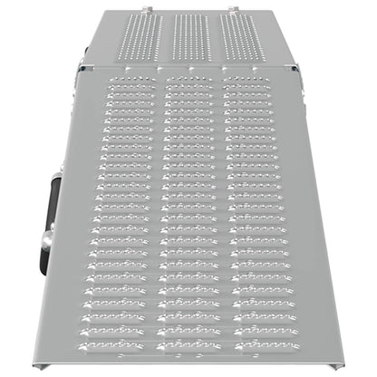 Faltbare Rampe 200kg pro Rampe 2 pcs Silber 166 x 23 x 4,5 cm