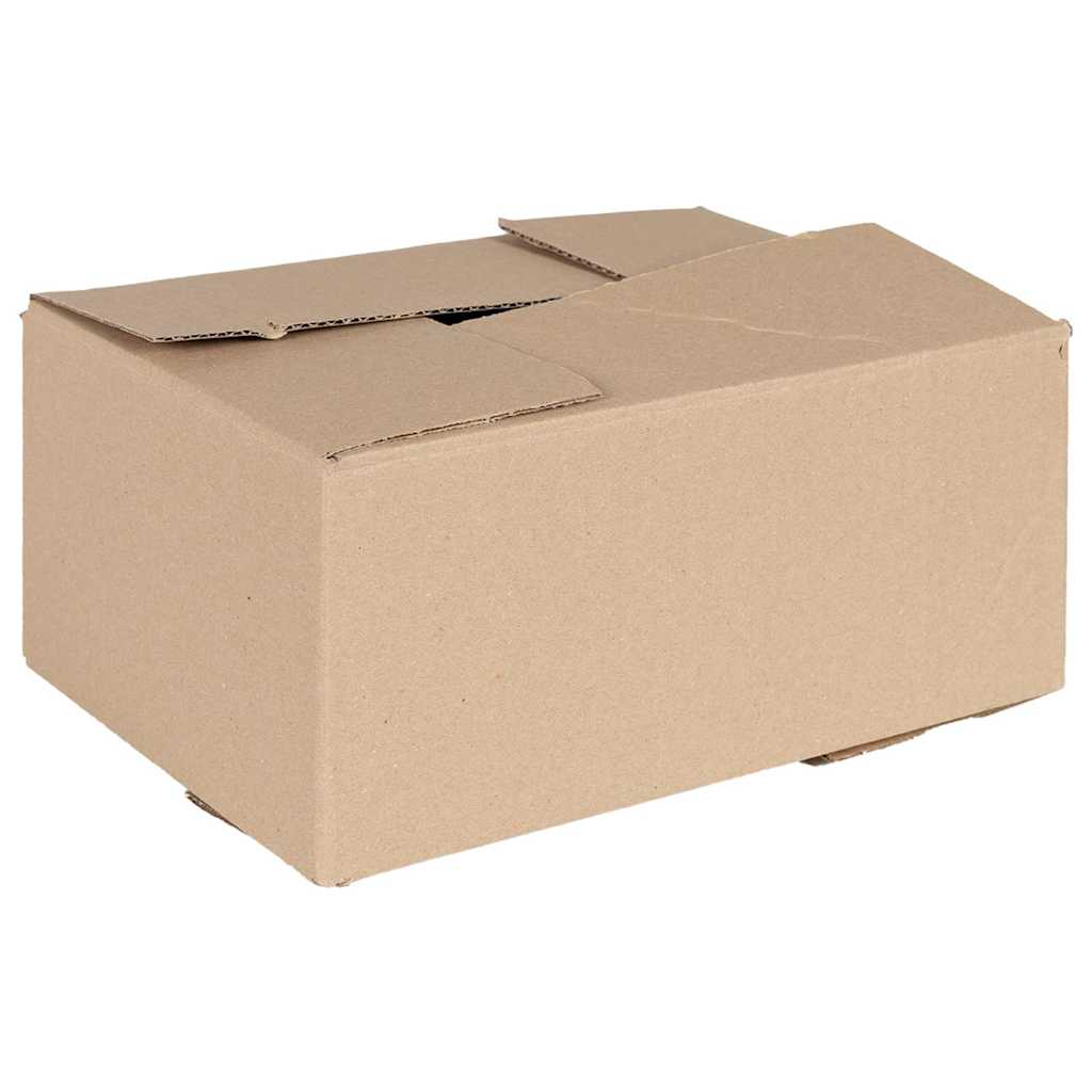 Faltbox mit Speicher 50 pcs Natur 30 x 21,5 x 14 cm Karton