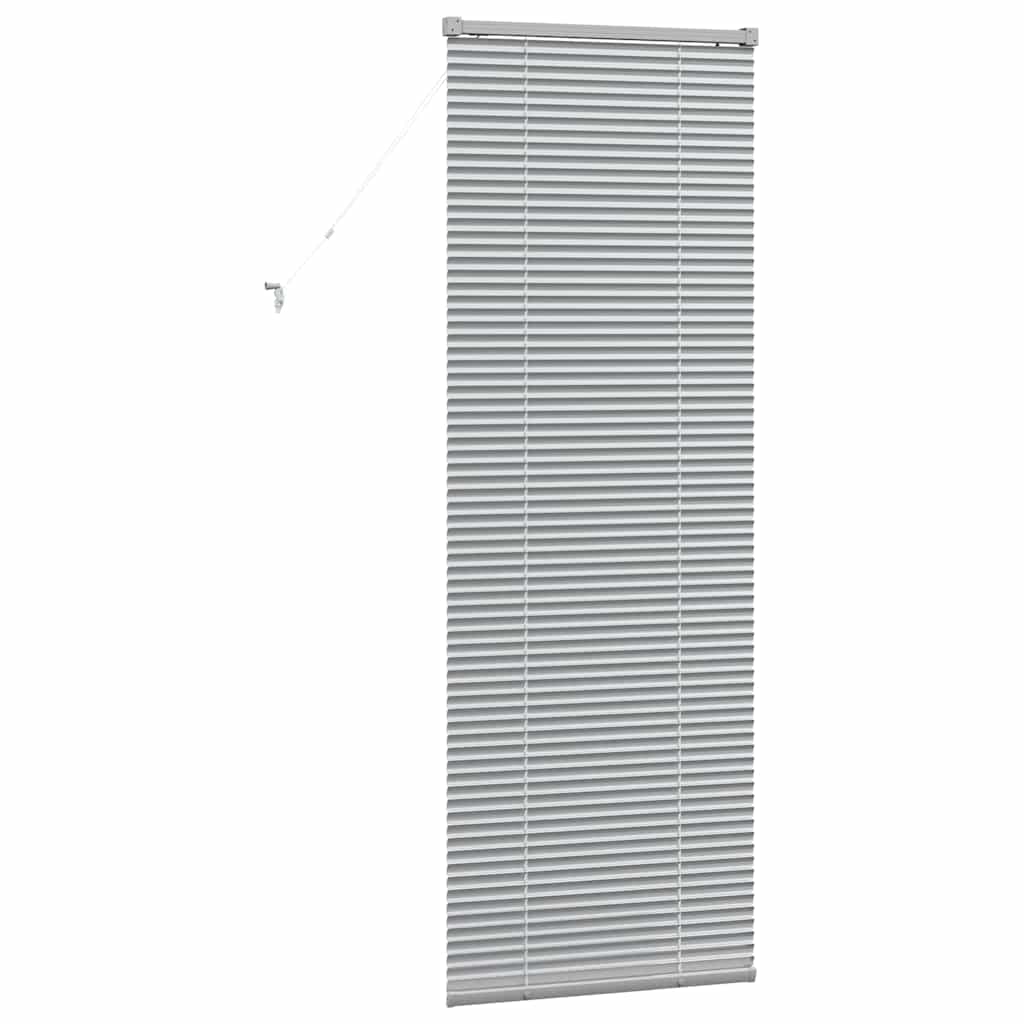 vidaXL Balkenjalousien Silber 175 x 65 cm Aluminium