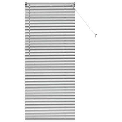 vidaXL Balkenjalousien Silber 175 x 80 cm Aluminium
