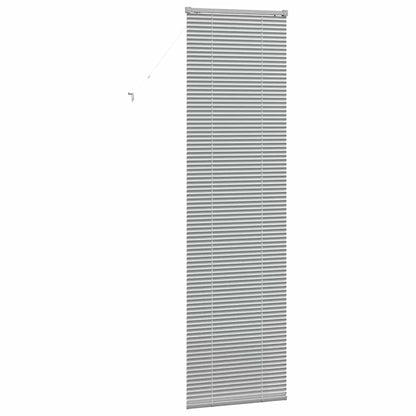 vidaXL Balkenjalousien Silber 220 x 55 cm Aluminium