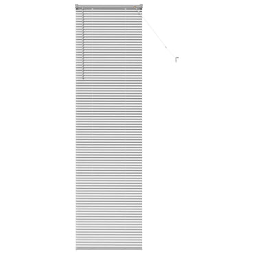 vidaXL Balkenjalousien Silber 220 x 55 cm Aluminium