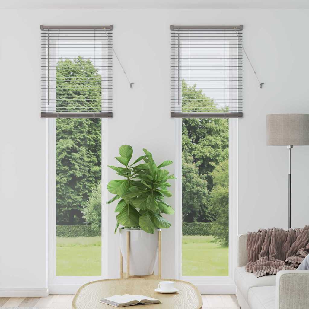 vidaXL Balkenjalousien Silber 220 x 65 cm Aluminium