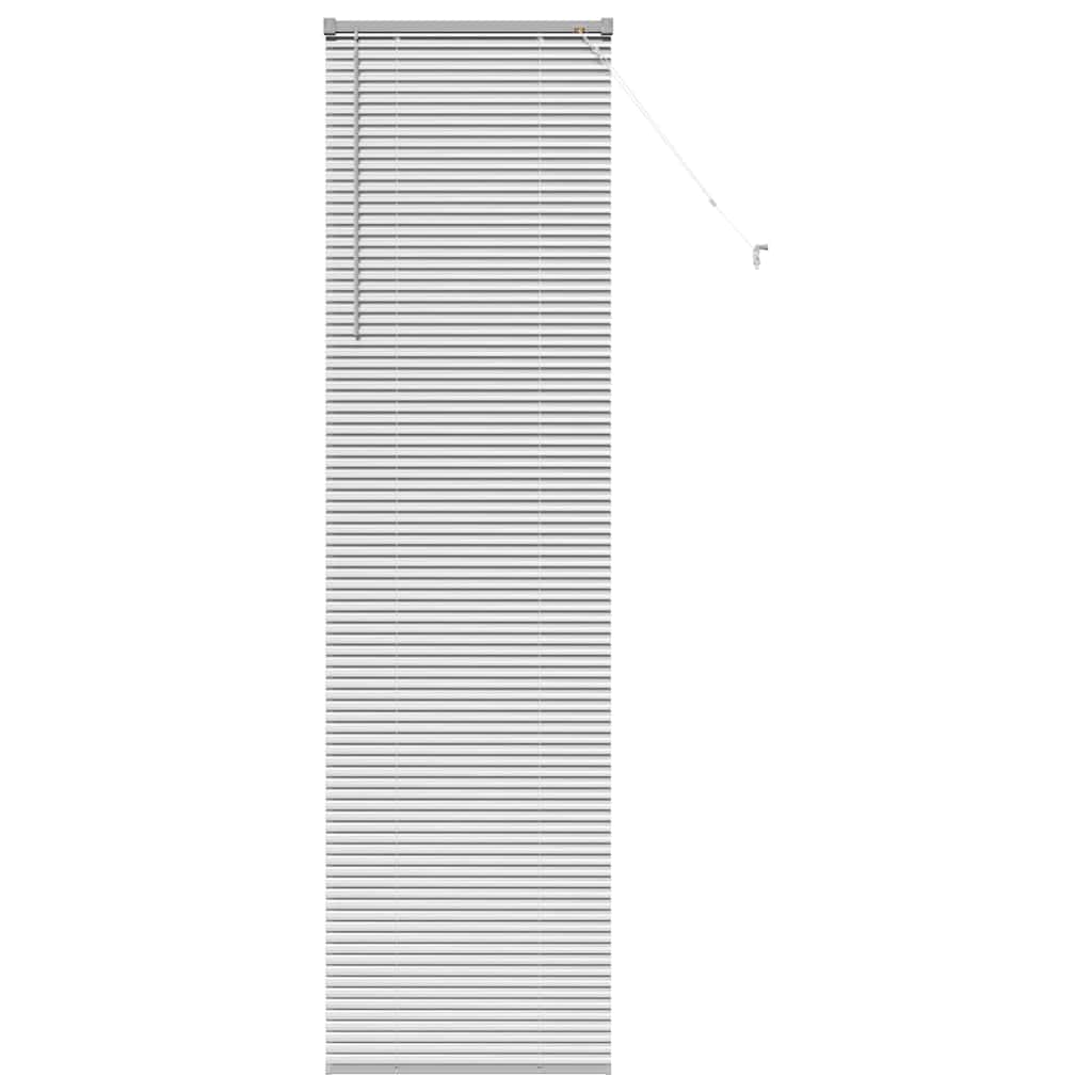 vidaXL Balkenjalousien Silber 220 x 65 cm Aluminium