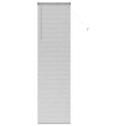 vidaXL Balkenjalousien Silber 220 x 65 cm Aluminium