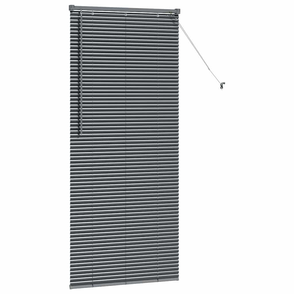 vidaXL Balkenjalousien Dunkelgrau 175 x 75 cm Aluminium