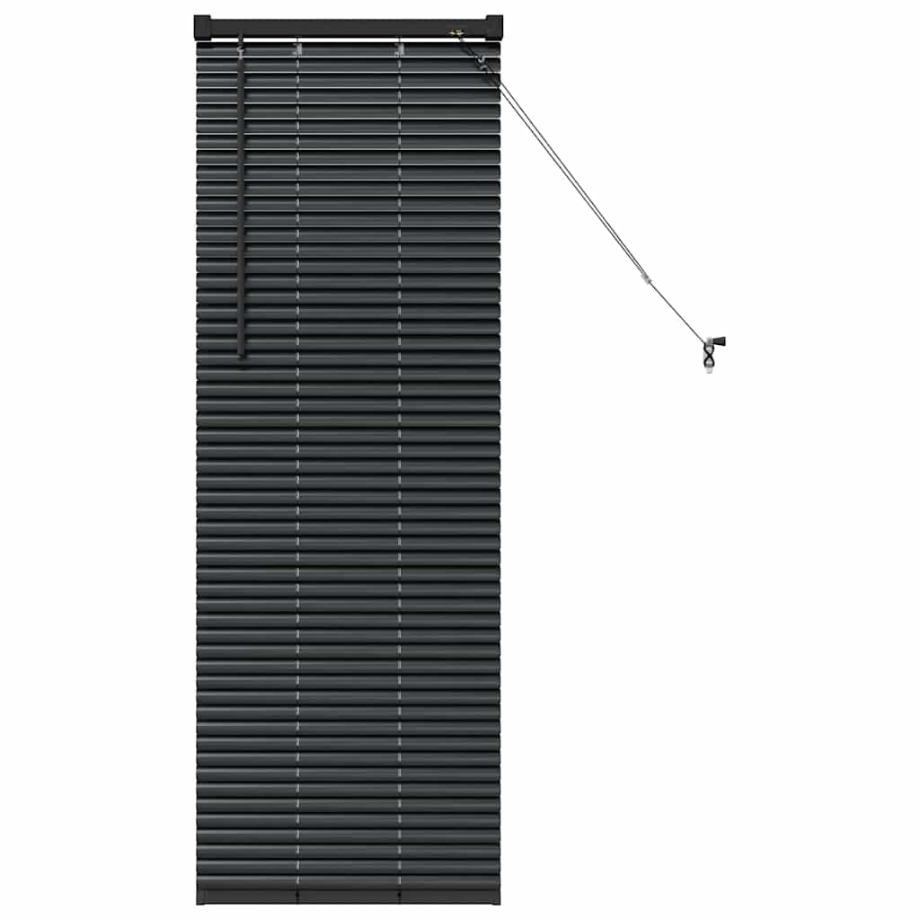 vidaXL Balkenjalousien Schwarz 130 x 55 cm Aluminium