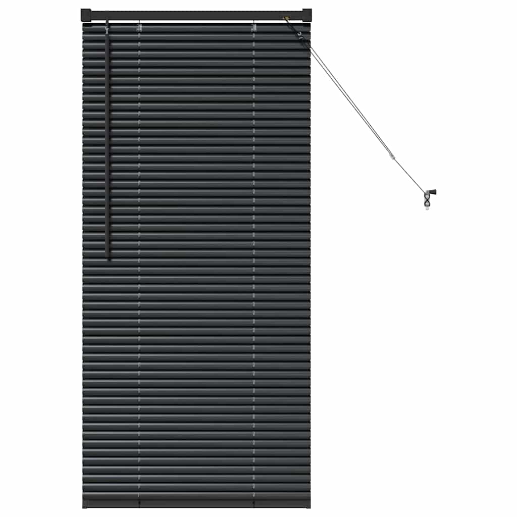 vidaXL Balkenjalousien Schwarz 60 x 2,5 x 130 cm Aluminium