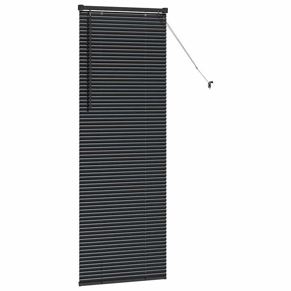 vidaXL Balkenjalousien Schwarz 175 x 65 cm Aluminium
