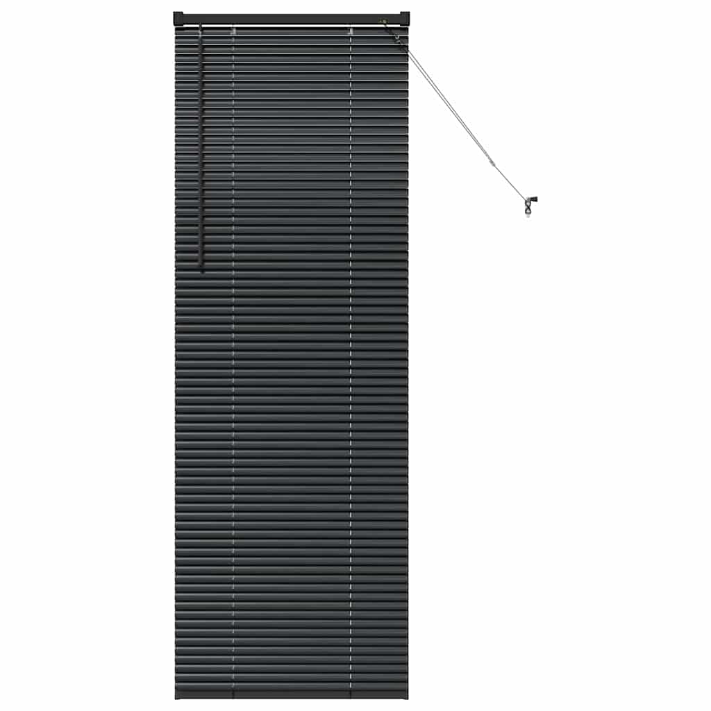 vidaXL Balkenjalousien Schwarz 175 x 65 cm Aluminium