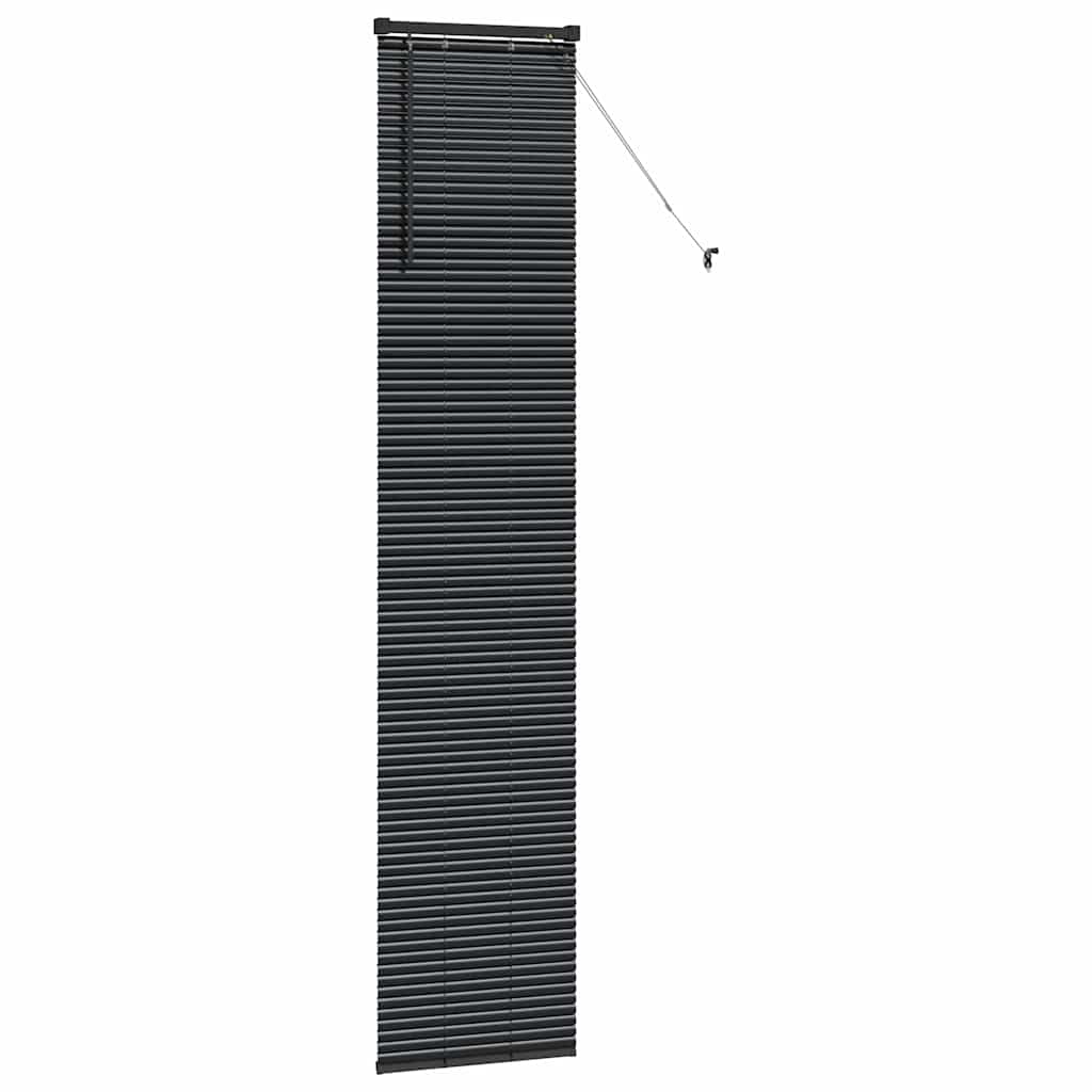 vidaXL Balkenjalousien Schwarz 220 x 45 cm Aluminium