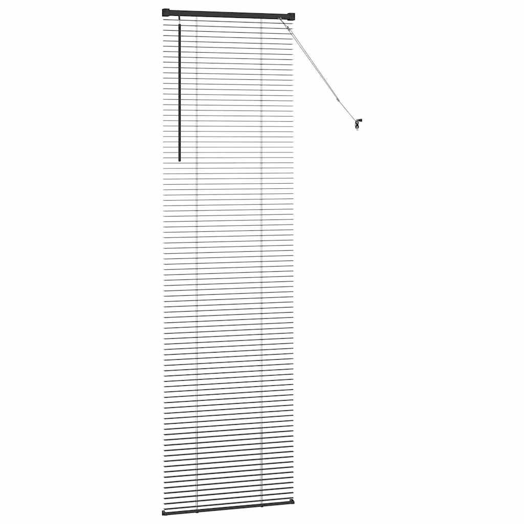 vidaXL Balkenjalousien Schwarz 220 x 60 cm Aluminium