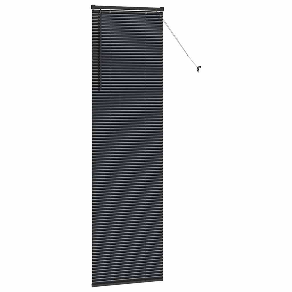 vidaXL Balkenjalousien Schwarz 220 x 65 cm Aluminium