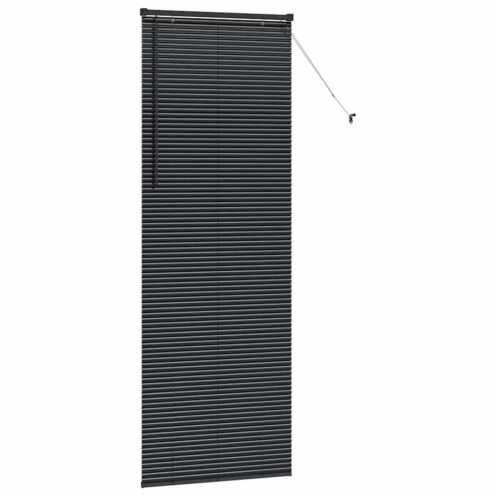vidaXL Balkenjalousien Schwarz 220 x 75 cm Aluminium