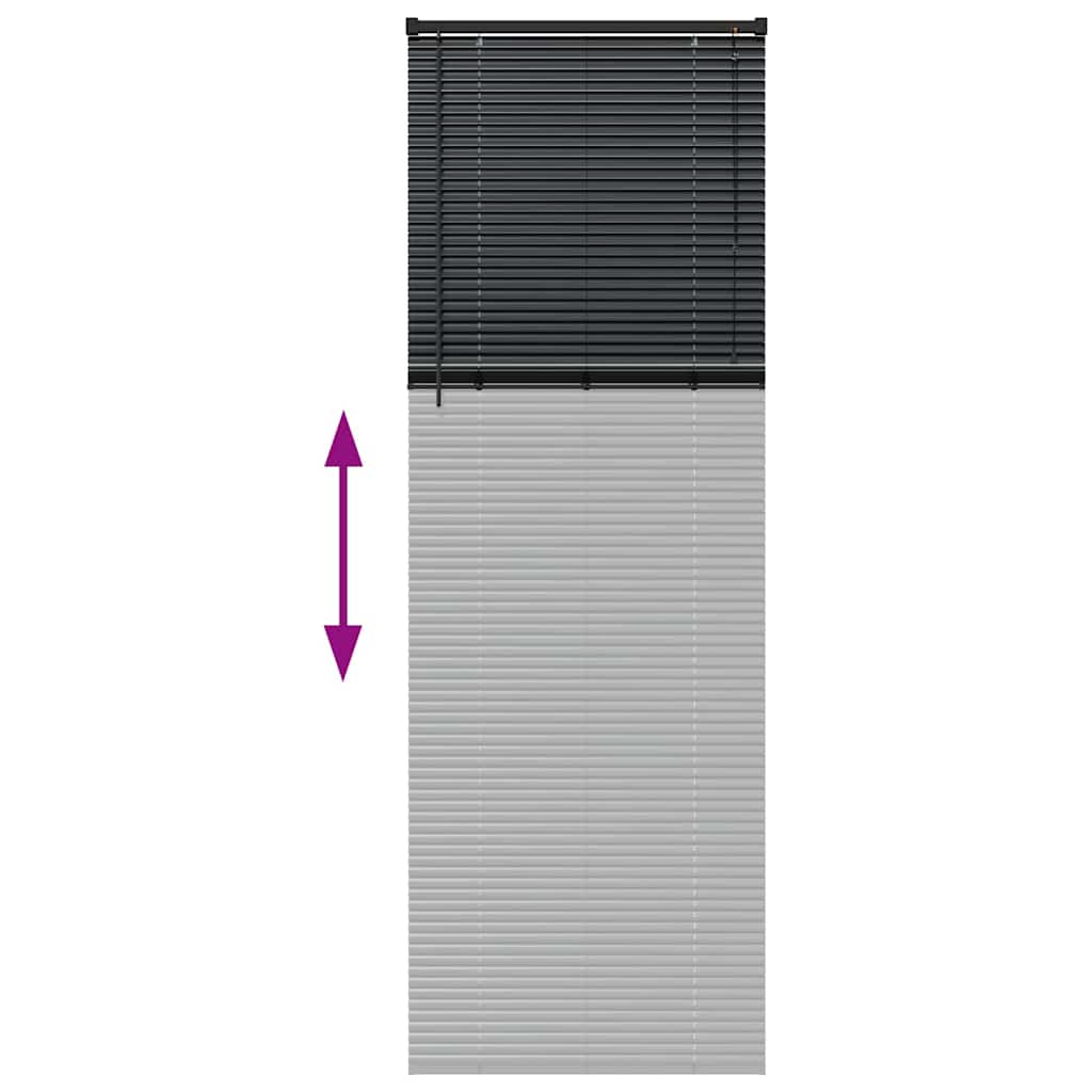 vidaXL Balkenjalousien Schwarz 220 x 80 cm Aluminium