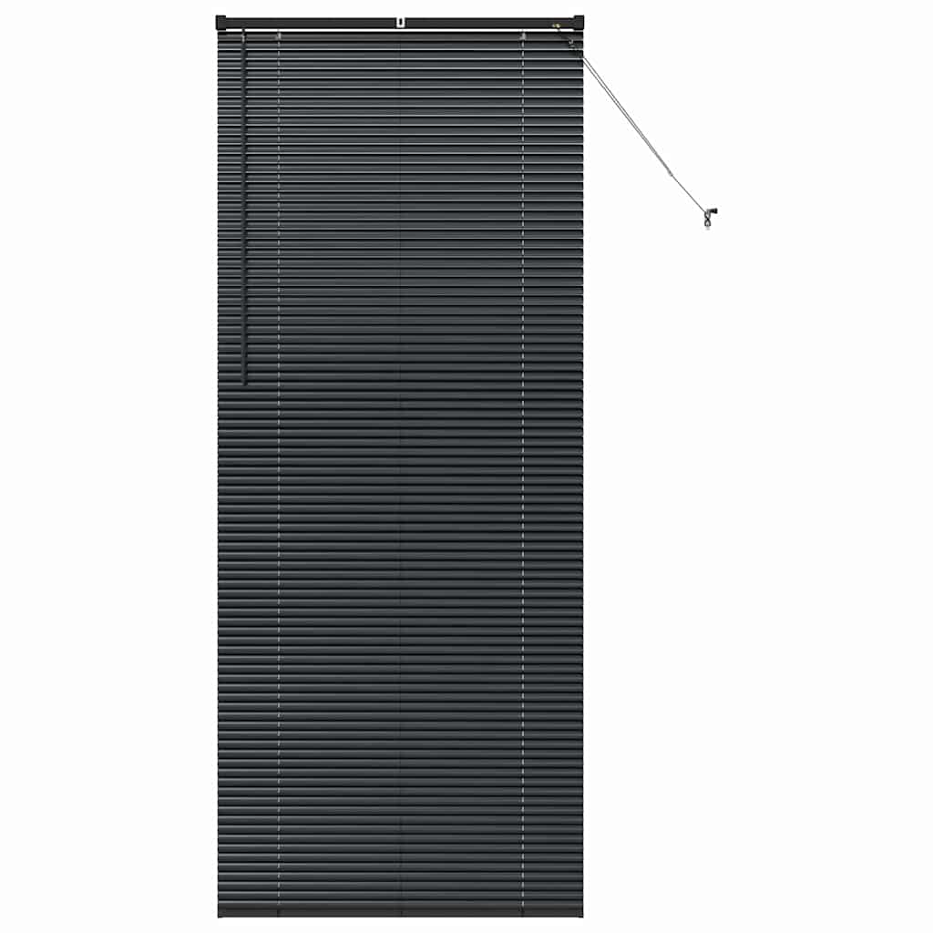 vidaXL Balkenjalousien Schwarz 220 x 85 cm Aluminium