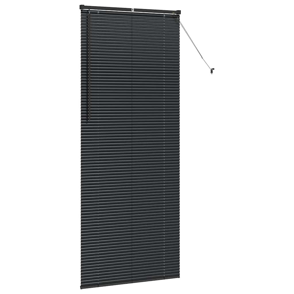vidaXL Balkenjalousien Schwarz 220 x 95 cm Aluminium